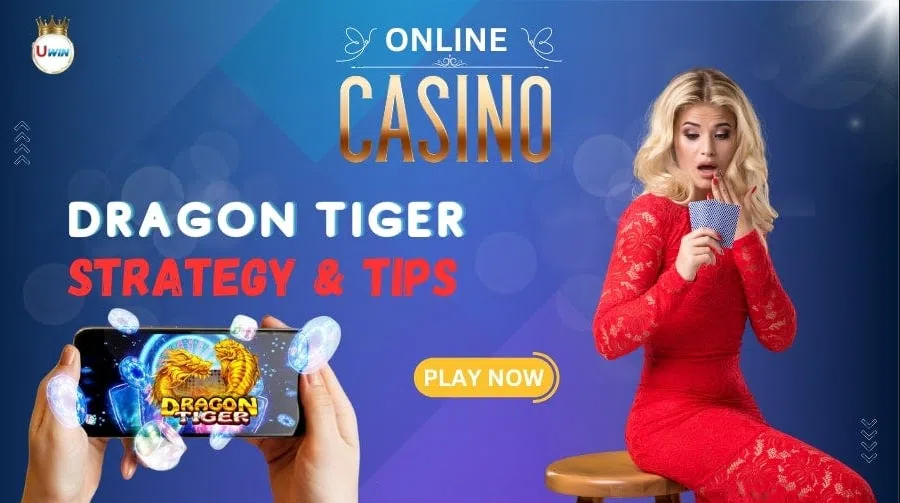 Fun88 King và Fun88 Cazino: Trải Nghiệm Cá Cược Đỉnh Cao